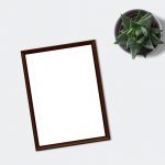 portfolio co to